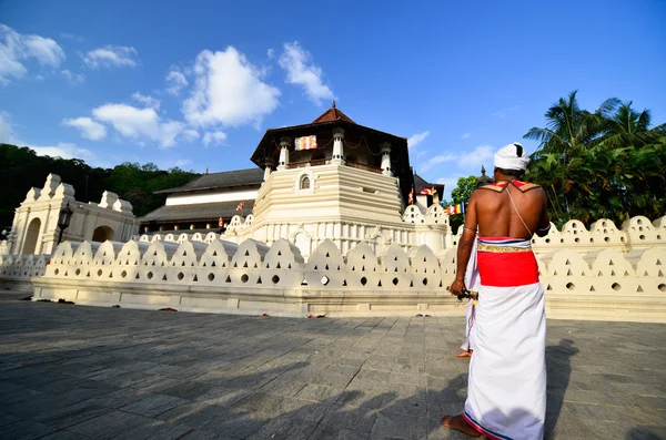 Pera Hera festival in Kandy — Stockfoto