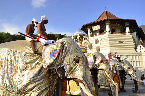 Pera Hera festival in Kandy — Stock Photo, Image
