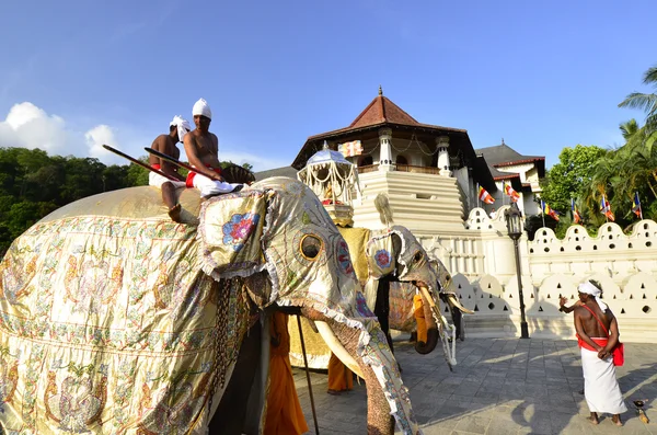Festival Pera Hera em Kandy — Fotografia de Stock