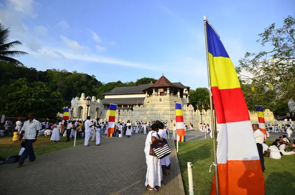 Pera Hera festival in Kandy — Stock Photo, Image