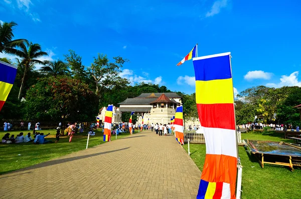 Pera Hera Festival in Kandy — Stockfoto