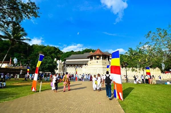 Festival di Pera Hera a Kandy — Foto Stock