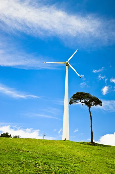 Windturbine — Stockfoto