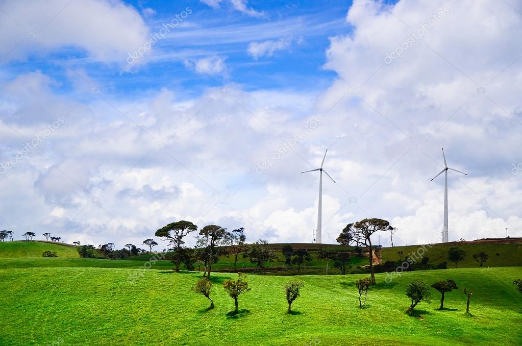 Windmill farm in Sri Lanka