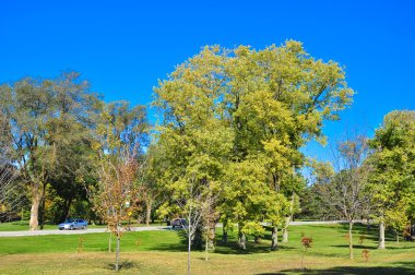 Park, Amerika Birleşik Devletleri