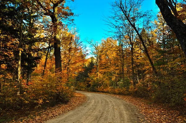 Sentier à travers la forêt d'automne — Photo