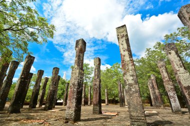 sri Lanka'da polonnaruwa şehir kalıntıları