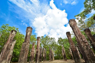 sri Lanka'da polonnaruwa şehir kalıntıları