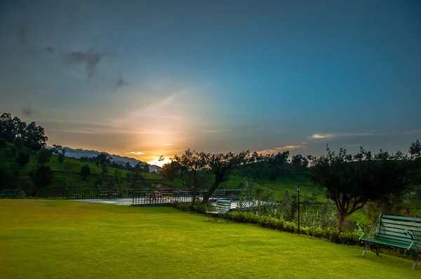 Park bei Sonnenuntergang — Stockfoto