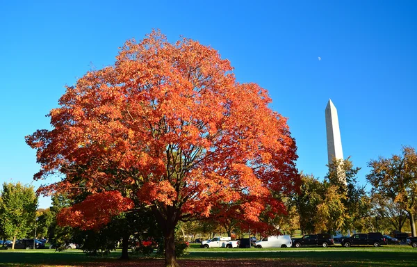 Otoño en Estados Unidos de América —  Fotos de Stock