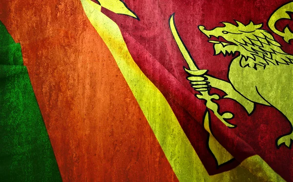 Sri lankan flag — Stock Photo, Image