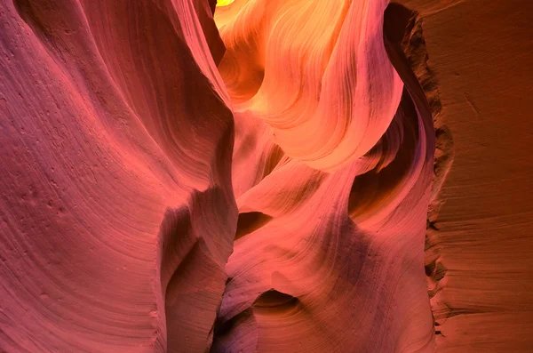 Grand canyon in Utah — Stock Photo, Image