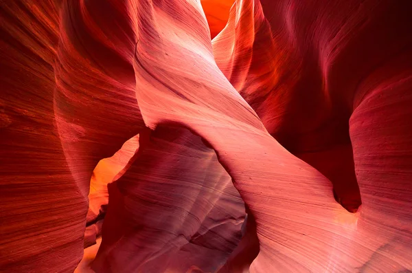 Grand canyon in Utah Stock Image