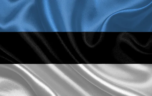 Estonia bandiera sventolante — Foto Stock