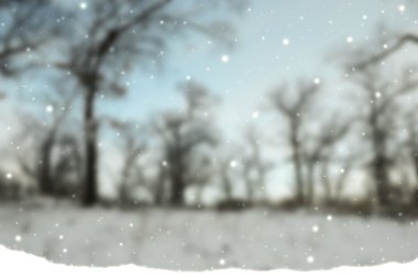Noel ve Yeni Yıl geçmişi