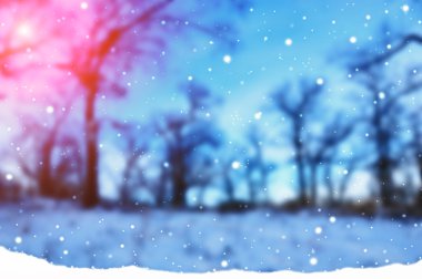 Noel ve Yeni Yıl geçmişi