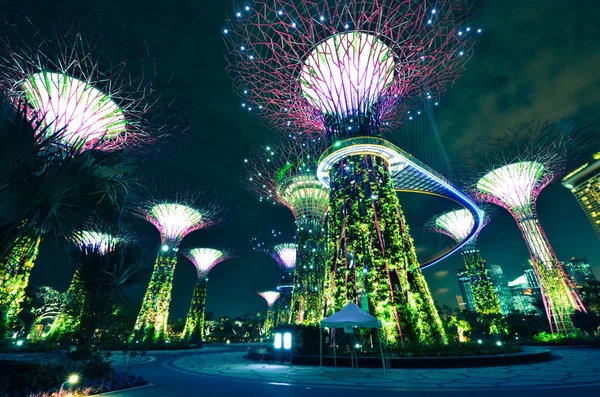 Supertree Grove Gardens Körfez Singapur'daki gece görünümü — Stok fotoğraf