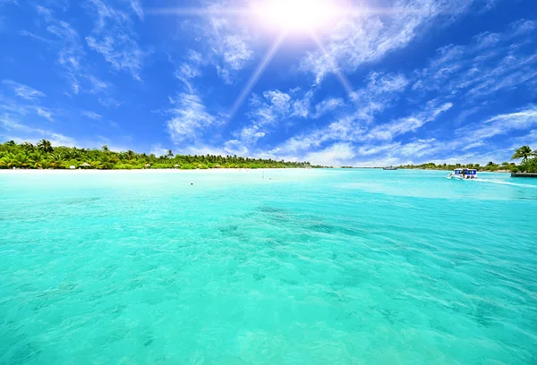 Amazing island and pristine beach in Maldives — Stock Photo, Image