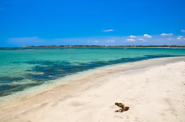 Morze i plaża krajobraz — Zdjęcie stockowe