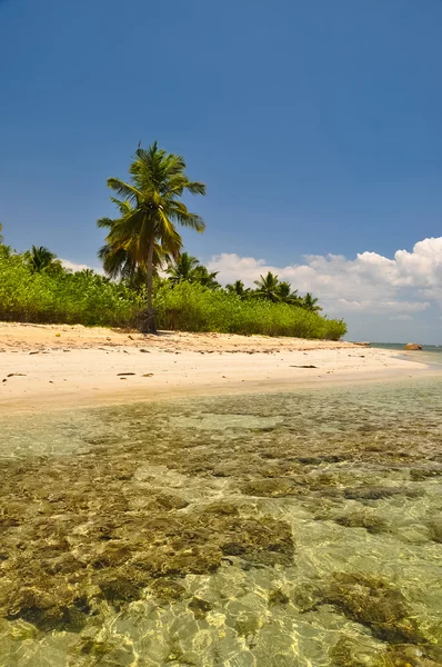 아름 다운 바다와 해변 풍경 — 스톡 사진