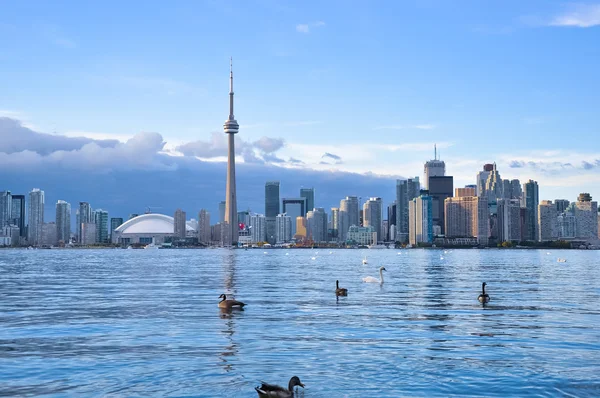 Toronto skyline Panoramic — Stockfoto
