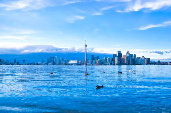 Toronto Skyline — Stockfoto