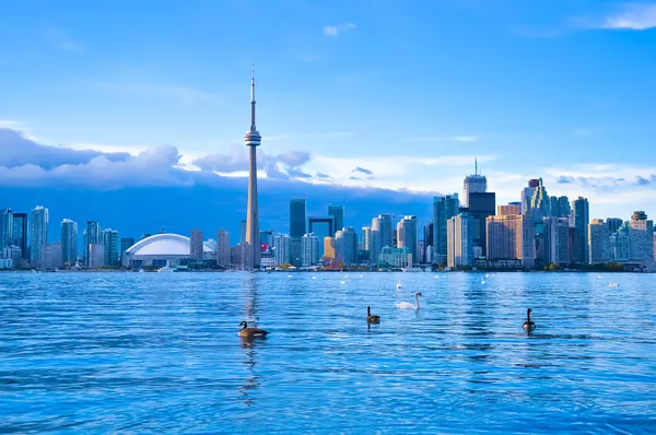 Toronto skyline — Stockfoto