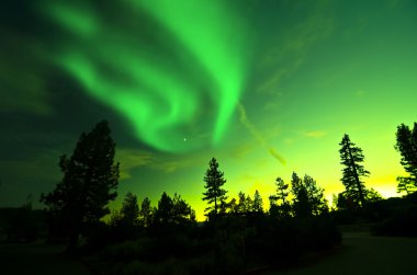 Kuzey ışıkları, aurora borealis