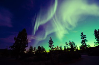 Northern Lights, Aurora Borealis clipart