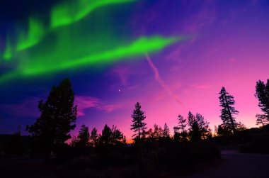 Kuzey ışıkları, aurora borealis