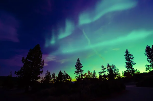 Aurora boreal, aurora borealis — Fotografia de Stock