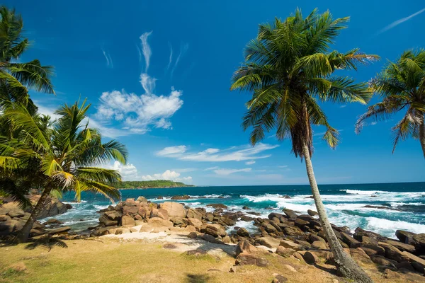 Tropikalnej plaży w sri lanka — Zdjęcie stockowe