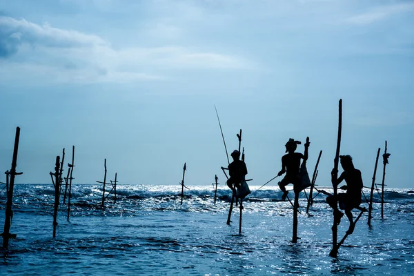 Sri lankan traditional stilt fisherman — Stock Photo, Image