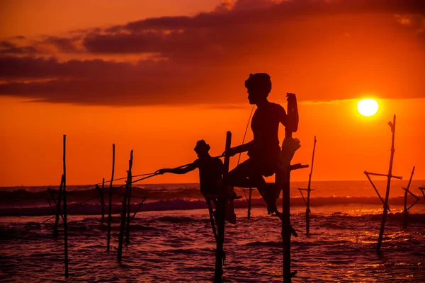 Sri lankais traditionnel échasses pêcheur — Photo