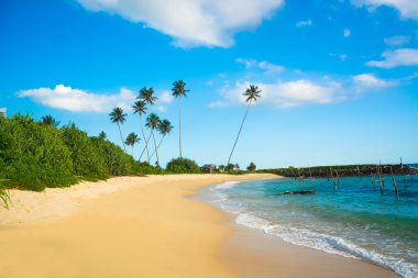 sri Lanka tropikal plaj