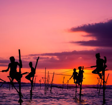 Sri Lankalı geleneksel Uzunbacak balıkçı