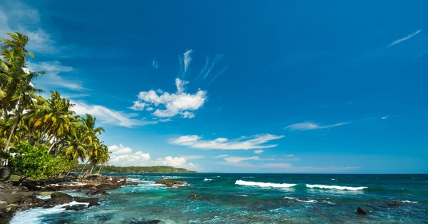 Tropikalnej plaży w sri lanka — Zdjęcie stockowe