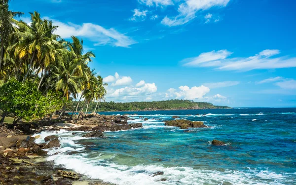 Tropikalnej plaży w sri lanka — Zdjęcie stockowe