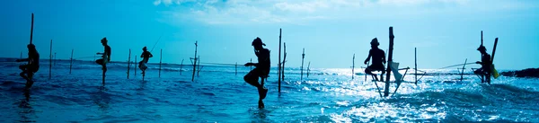 Sri Lankas traditionella stylta fiskare — Stockfoto