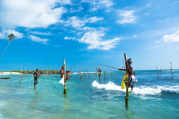 Sri Lanka tradicional stilt pescador — Fotografia de Stock