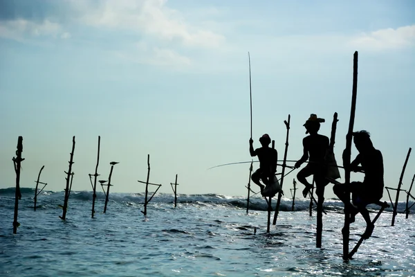 Sri Lanka tradicional stilt pescador — Fotografia de Stock