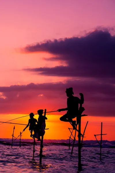 スリランカの伝統的な高床式の漁師 — ストック写真