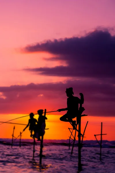 Sri lankan traditional stilt fisherman — Stock Photo, Image