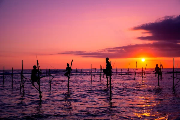 Sri lankais traditionnel échasses pêcheur — Photo