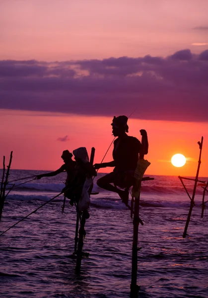 Sri Lanka tradicional stilt pescador — Fotografia de Stock