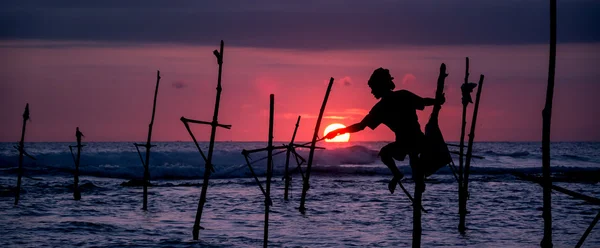 Sri lankais traditionnel échasses pêcheur — Photo