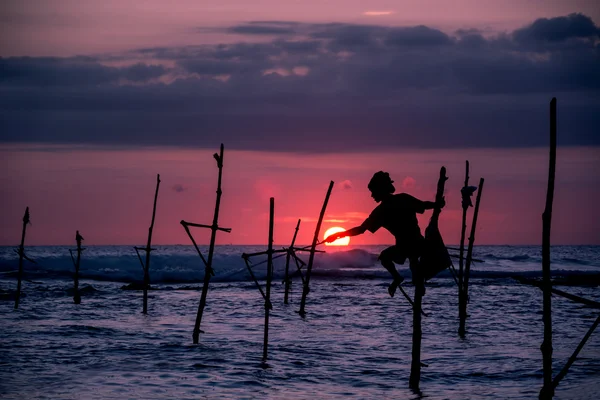 斯里兰卡传统高跷渔夫 — 图库照片