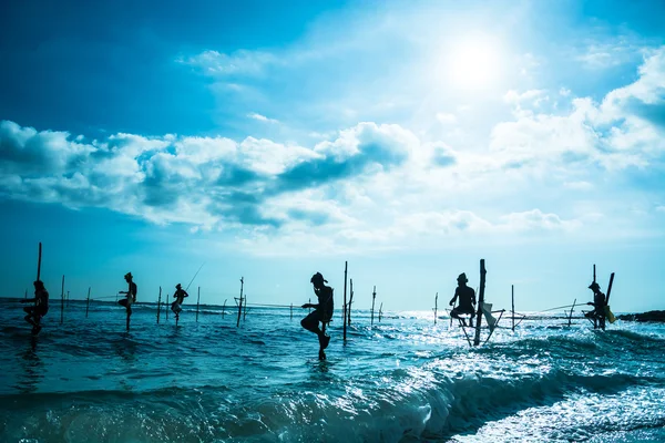 Sri lankan traditional stilt fisherman — Stock Photo, Image