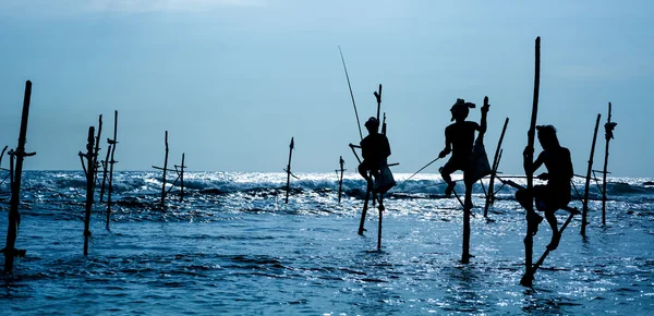 Sri Lanka pescador tradicional de zancos — Foto de Stock