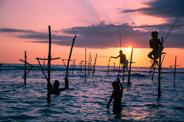 Sri lankan traditional stilt fisherman — Stock Photo, Image